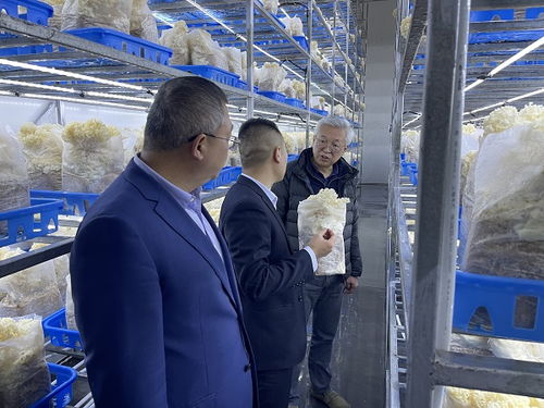 趙衛深入商洛開展企業管理咨詢調研，助力區域經濟發展